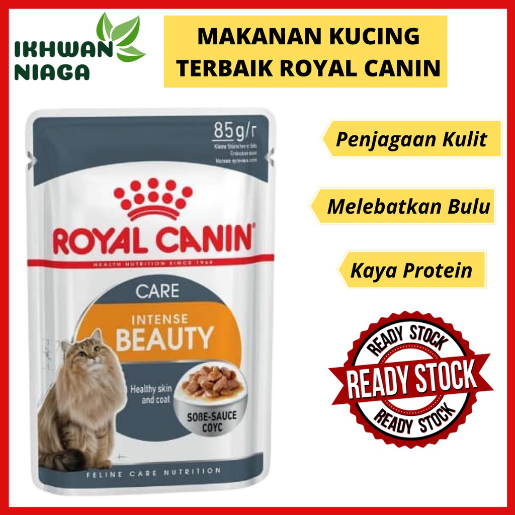 Makanan Kucing Royal Canin Murah