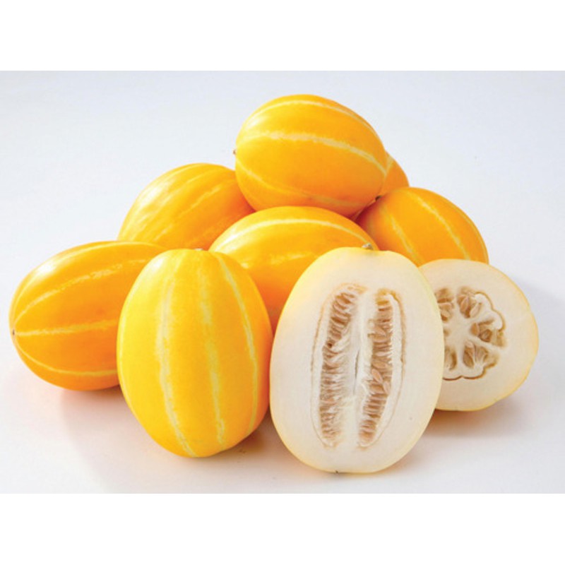 Seeds Of Korean Sweet Yellow Melon High Sugar Content Chamoe Makuwa Vegetable Seed 韩国甜瓜种子 Shopee Malaysia