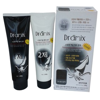KOREA DRAMIX SQUID INK TREATMENT COLOR CREAM 500ML 100 