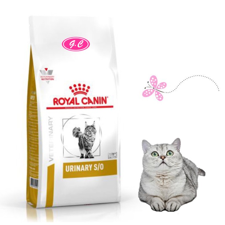 royal canin urinary so cat food