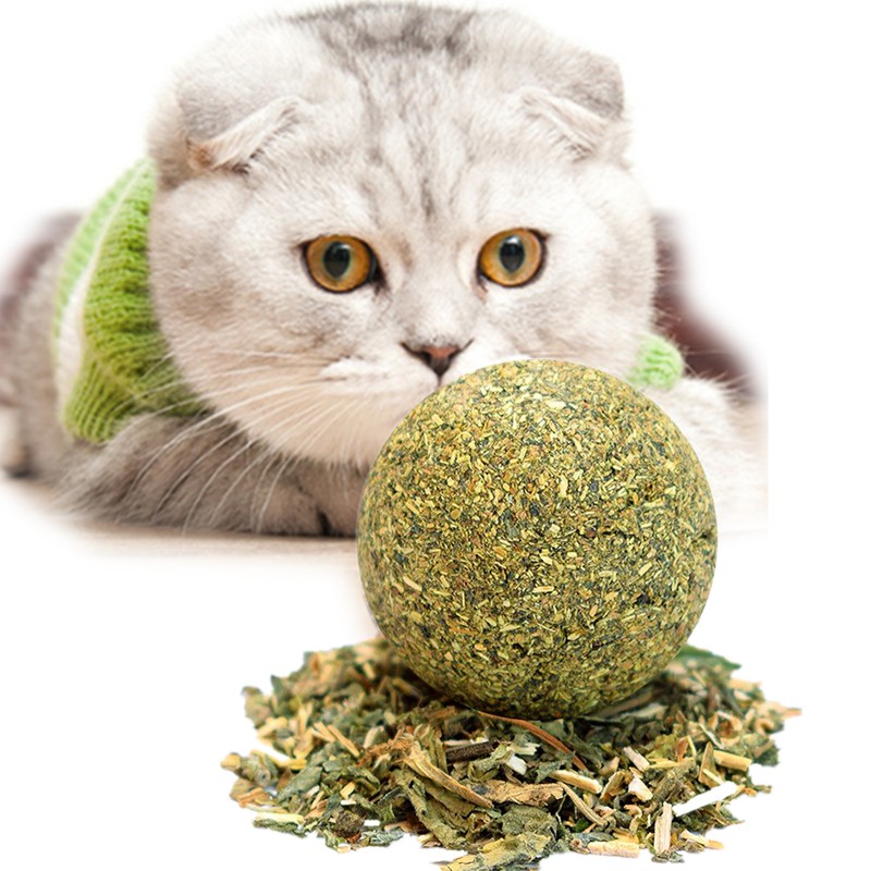 cat snack ball
