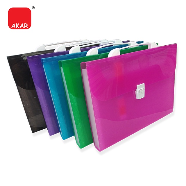 Expanding File 12 Pockets / A4 Expandable File Folder Ice Colour 12