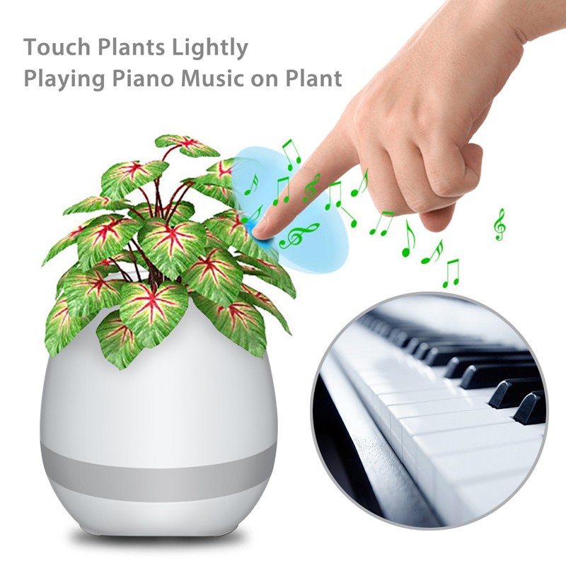 musical plant pot