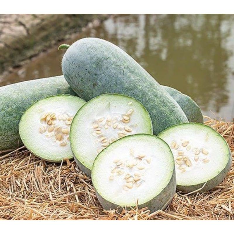 5 seeds Labu Kundur SUPERR Wangi borneo / Winter Melon / 冬瓜