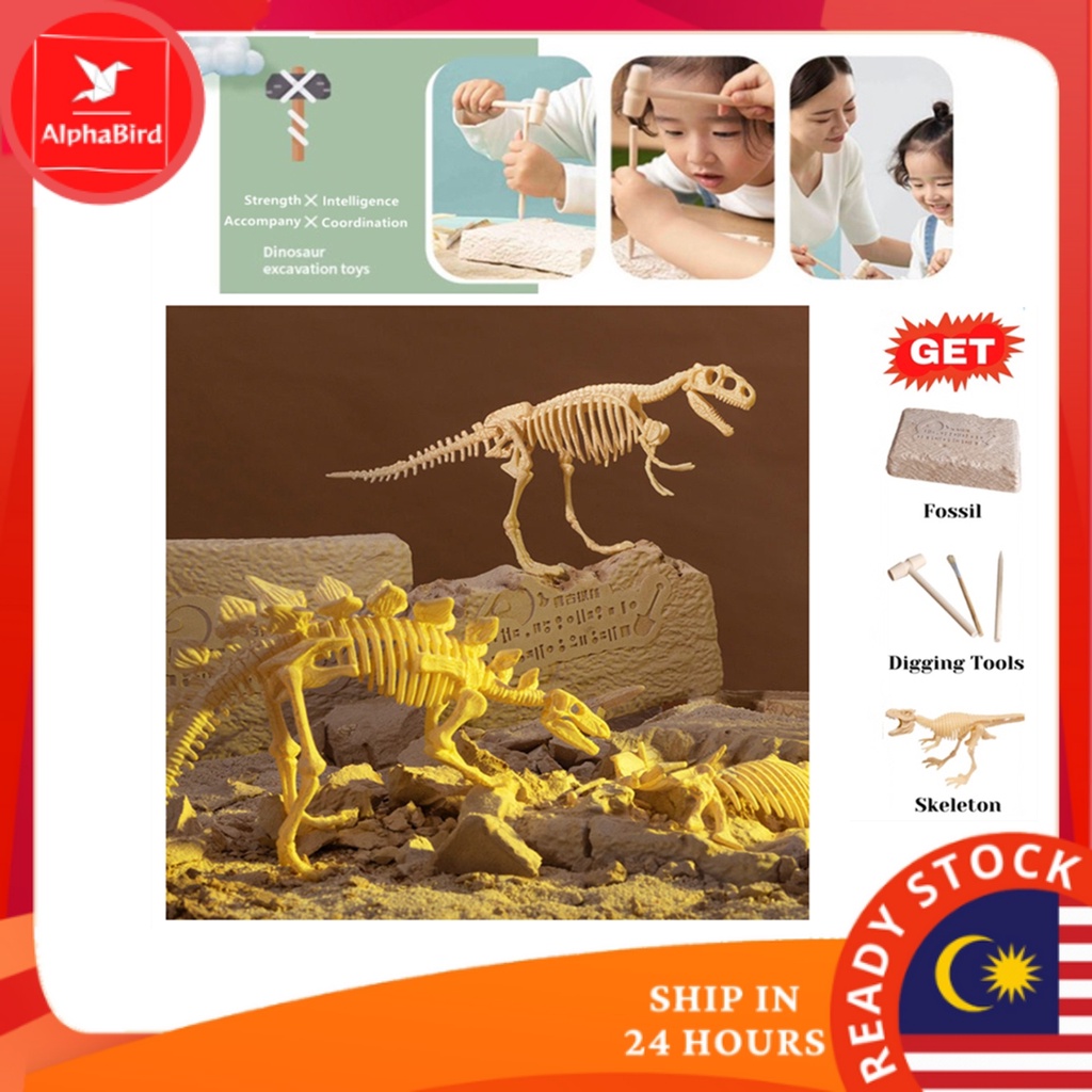 ecoey Dinosaur Fossil Dig Kit Dinosaur Skeleton Excavation Kits for