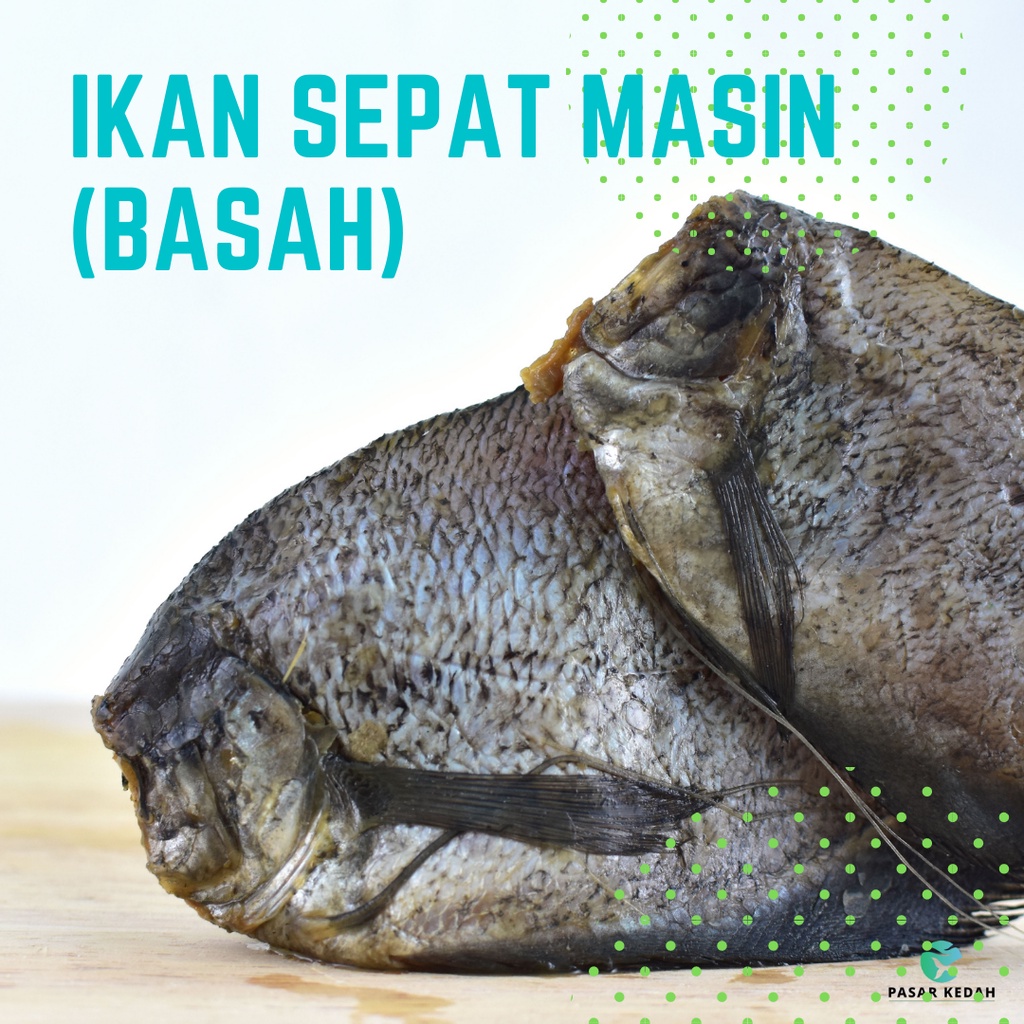 Produk Muslim 100g Ikan Sepat Masin Salted Gourami Fish Tanjung Dawai Halal Pasar Kedah Shopee Malaysia