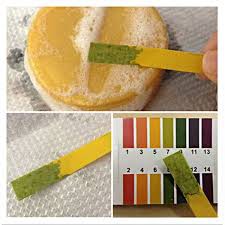 Ph Paper Tester Ph Water Tester Pool Water Tester Litmus Paper Kertas Litmus Shopee Malaysia