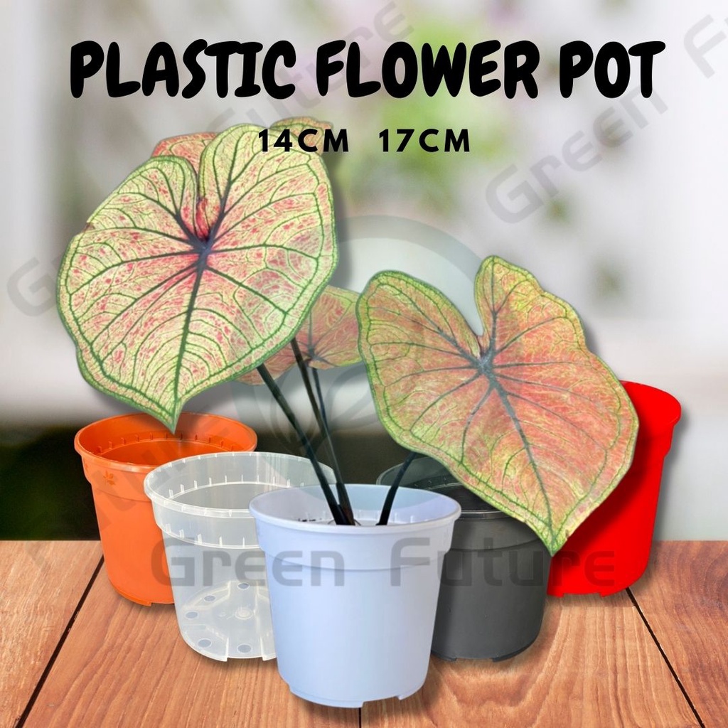 14CM 17CM OCTO HANGING PLASTIC FLOWER POT PASU BUNGA PLASTIK GARDEN Transparent Orchid 花盆 透明花盆 种植盆 绿植花盆 塑料花盆 廉价花盆