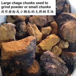Chaga Mushroom Powder 桦树茸粉 75g/ 250g | Shopee Malaysia