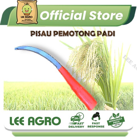 28CM Pisau  Mengerat Padi Pisau  Pemotong Padi Angin Pisau  