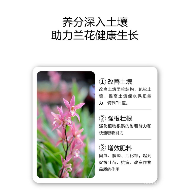 Nutrient Solution Dedicated兰花营养液花肥料专用肥长效室内肥料液体盆栽家用君子兰蝴蝶兰 Shopee Malaysia