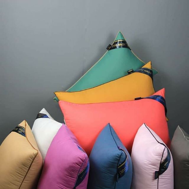 Luxury Hilton pillow down quilt 1000g Shopee Malaysia