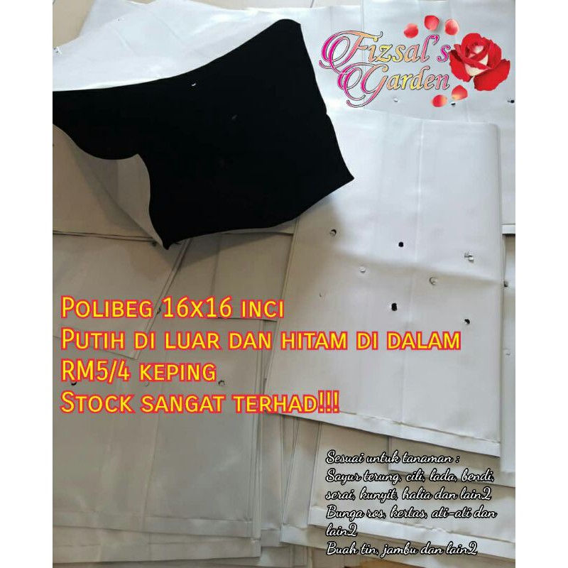 Polybag Putih Di Luar Hitam Di Dalam Uv 16x16 Inci Poli Polibeg Pot Shopee Malaysia