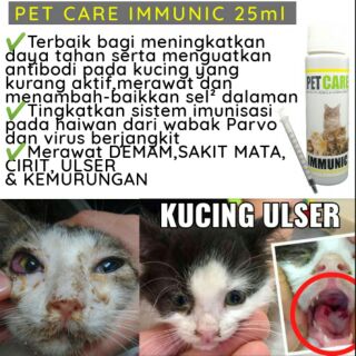 Ubat Selsema Kucing Shopee - SS Rumah sx