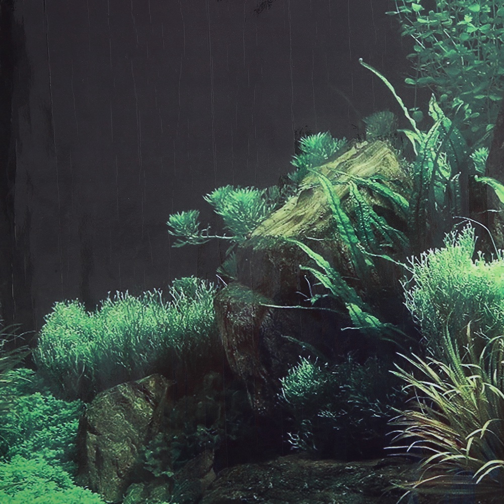 Unduh 58 Background For Aquarium Gratis Terbaru