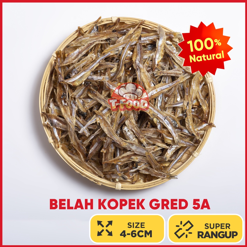 Ikan Bilis Belah Kopek Premium Kering Tfood Ocean Size 46cm Gred 5A 500g No Salt Added Good