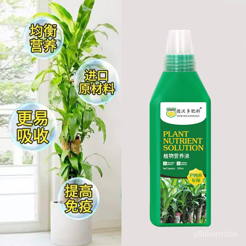 巴西木专用型营养液盆栽通用幸运木水培植物家用养花浓缩液体肥料 Shopee Malaysia