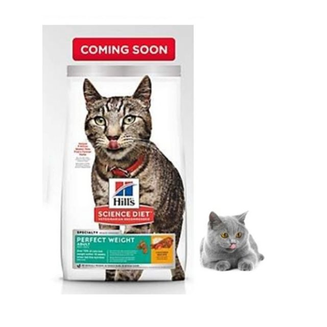 hills cat perfect weight