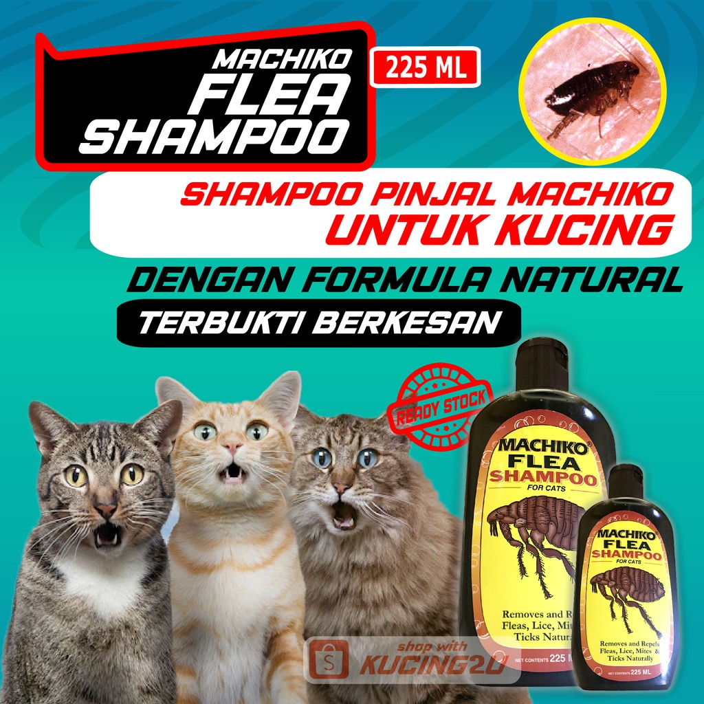 SHAMPOO KUTU KUCING - MACHIKO (225ML) BERKESAN SERTA MERTA