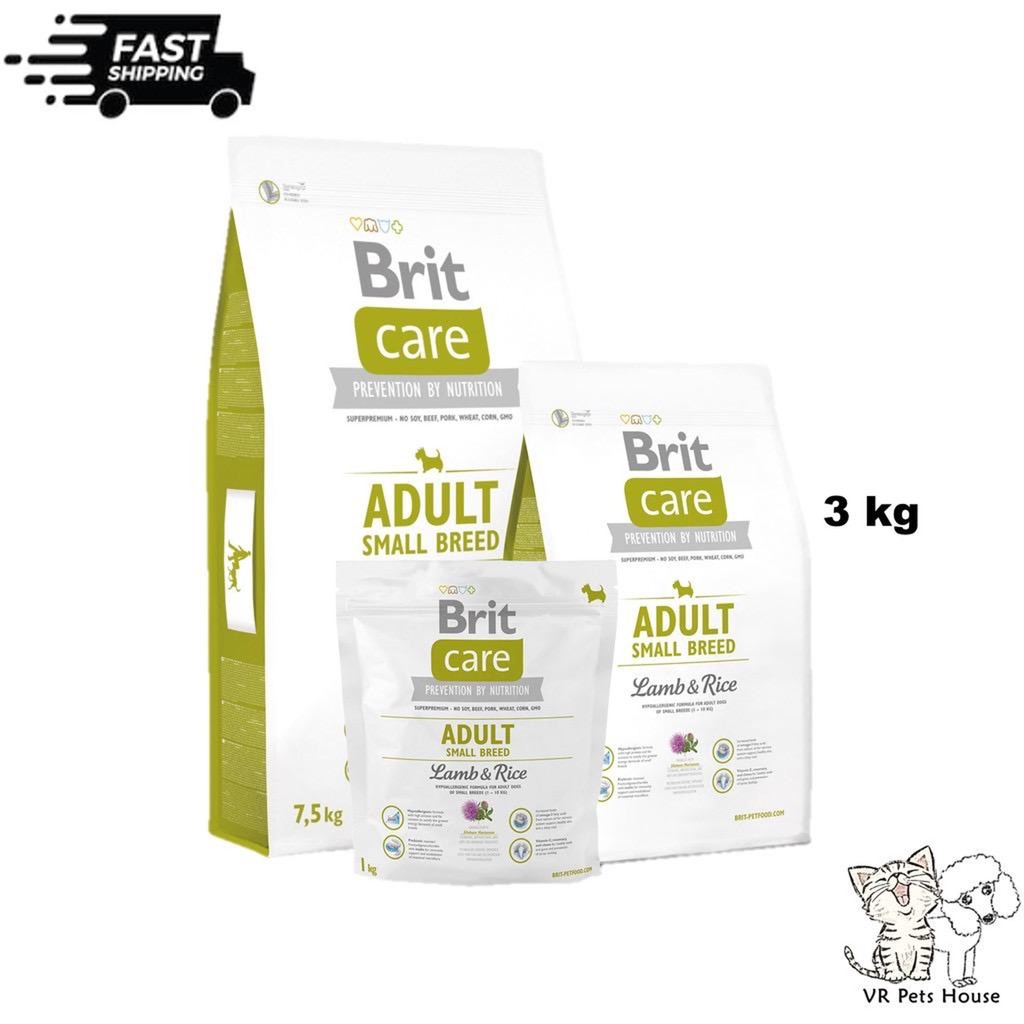 brit care show champion