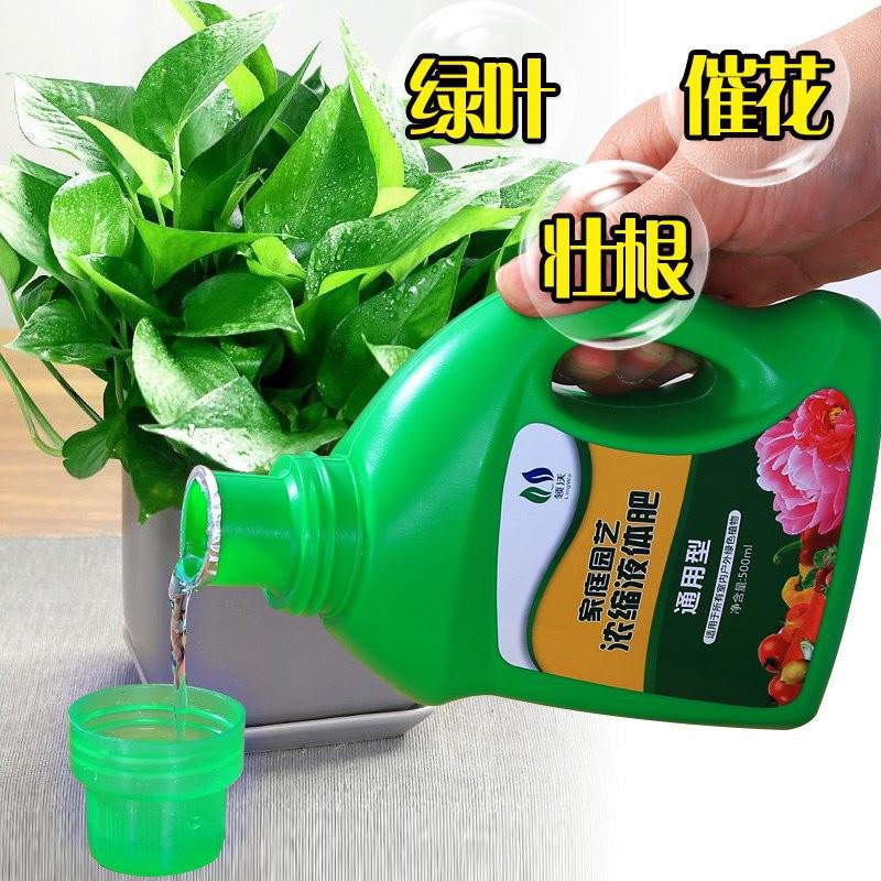 Buy 现货nutrient Solution植物浓缩营养液花卉通用型盆栽氨基酸水培花肥料多肉兰花绿萝液肥 Seetracker Malaysia