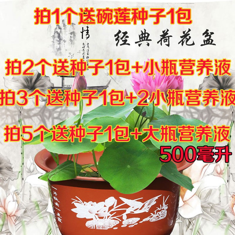 荷花盆无孔荷花莲花塑料花盆水培专用无孔花盆水培睡莲碗莲花盆 Shopee Malaysia