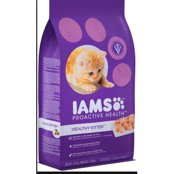 iams proactive health healthy kitten