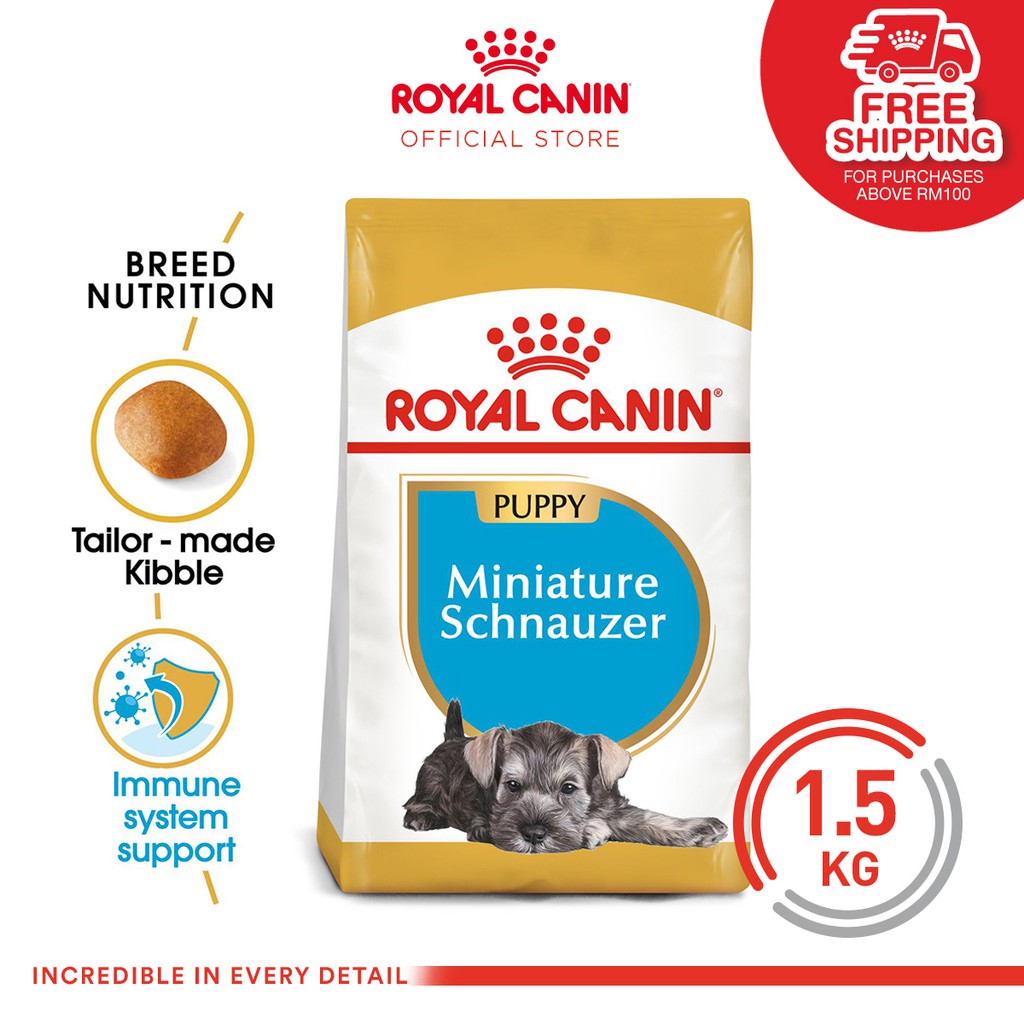 royal canin miniature schnauzer puppy