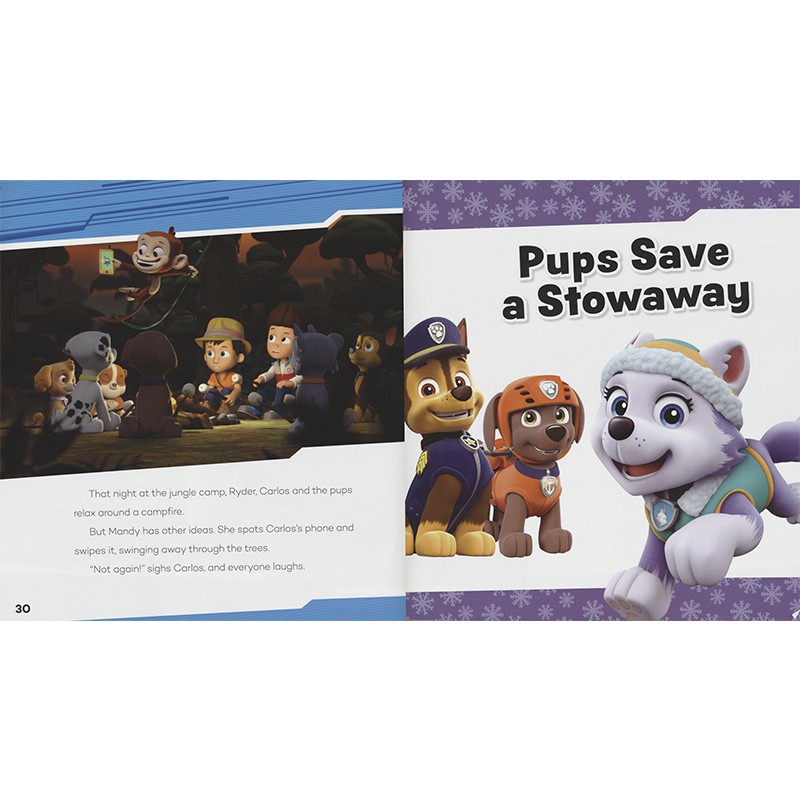 carlos paw patrol toy