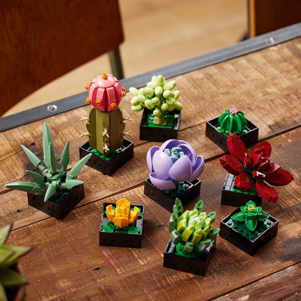 Aazon.co: Succulents Set For Adults Building Sets, 12 Plants, Hoe...