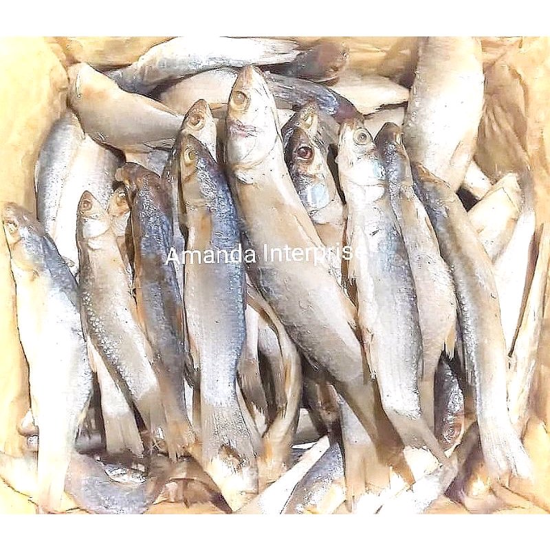 100gram Ikan Masin Kedera Ikan Kering Belanak Tanjung Dawai Shopee Malaysia