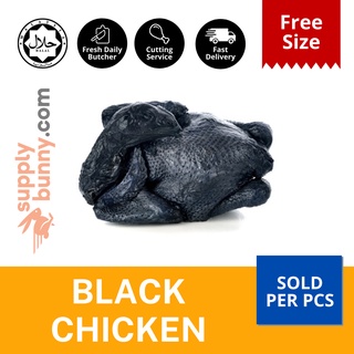 Whole Black Chicken (free size) (sold per pcs) Halal ✔️ 乌鸡 MCY Food Supply Ayam Hitam