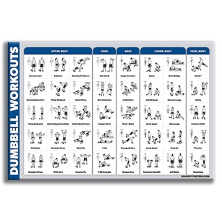 syd bodybuilding gym sport fitness dumbbell poster kettlebell workout exercise training chart art wall poster print home dec shopee malaysia