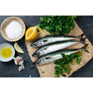 IKAN SABA SABA MACKEREL TCH FROZEN FOOD FRESH FROZEN IKAN SABA SABA MACKEREL TCH FROZEN FOOD FRESH FROZEN
