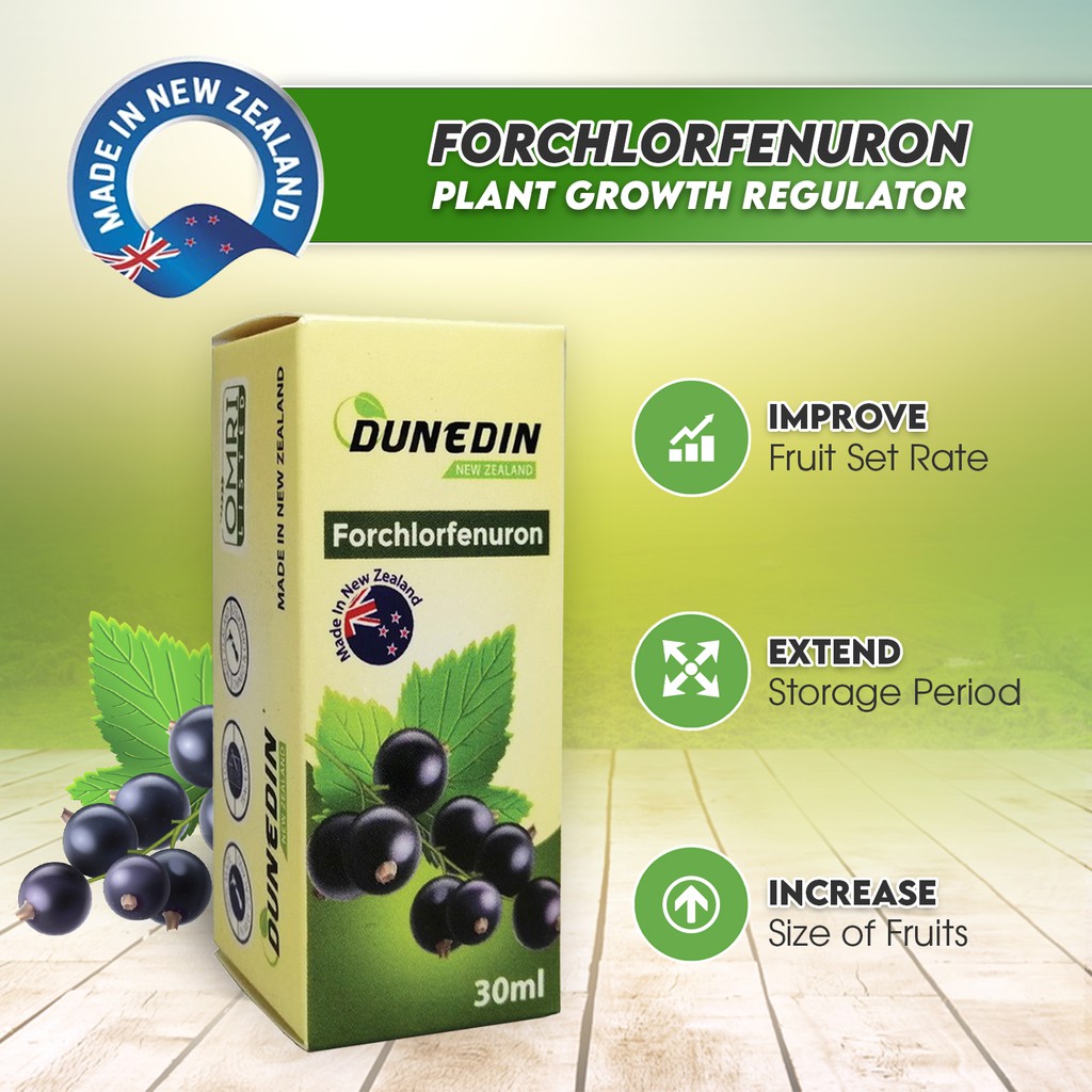Forchlorfenuron 0.1 (30ml) / KT30 / CPPU / Cytokinin / Plant growth