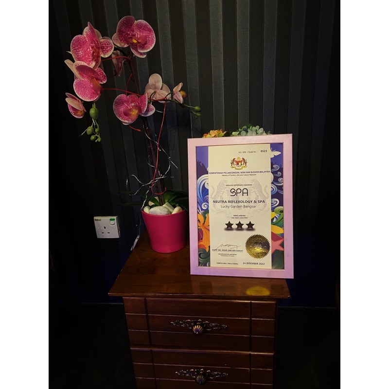 Spa E Certificate Neutra Reflexology Spa Shopee Malaysia