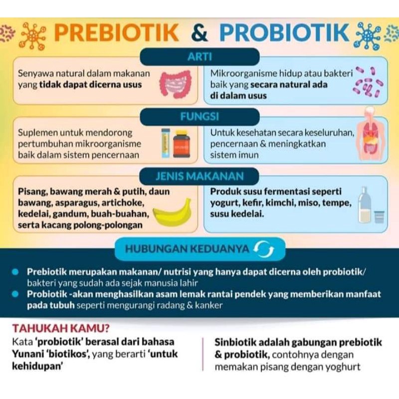 Y.E.S Promo Serat Prebiotik Ameer (4-30/12/2021)  Shopee Malaysia