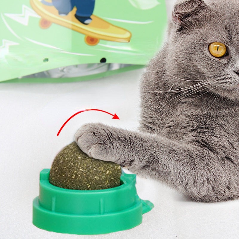 Durable Must Rotating Natural Catnip Ball Molars Cleans Teeth Bites Balls Healthy Promote Digestion Cat Grass Snack Have - Image 5