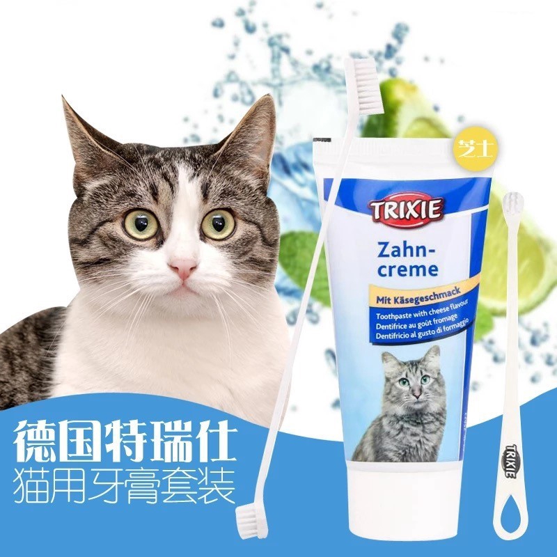 cat toothbrush toothpaste