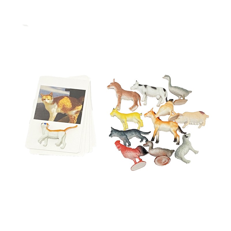 Reliable Purpose Montessori Animal Match Cards Miniature Poultry Animals Matching Learning Toy Language Materials Mul... - Image 4