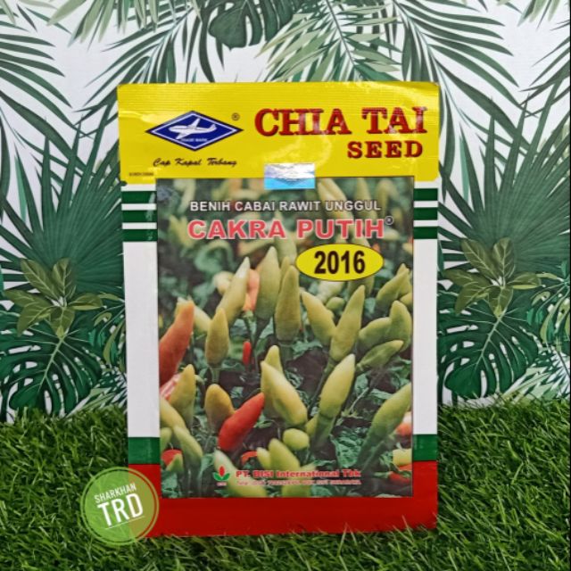 Paket 10g (+-1500 Biji) CAKRA PUTIH 2016 Biji Benih Cili Padi Kampung Cap Kapal Terbang Chia Tai Seed F1 Hybrid Pepper.