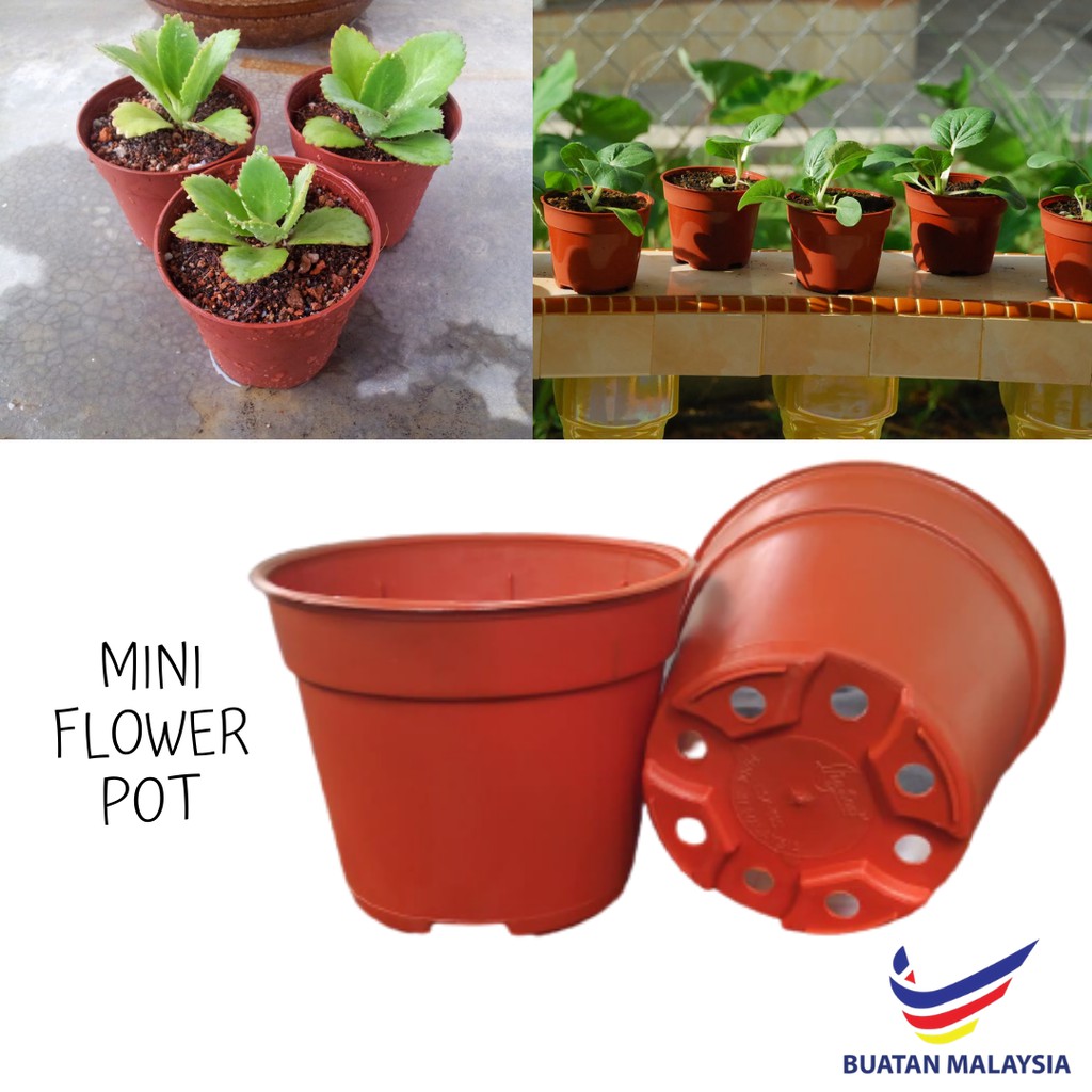 Mini Flower  Pot Pasu  Bunga Kecil Pasu  Bulat Kecil 