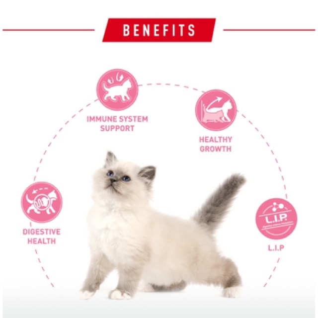 Buy Royal Canin Kitten Second Age (REPACK) 400gm 1kg  SeeTracker 