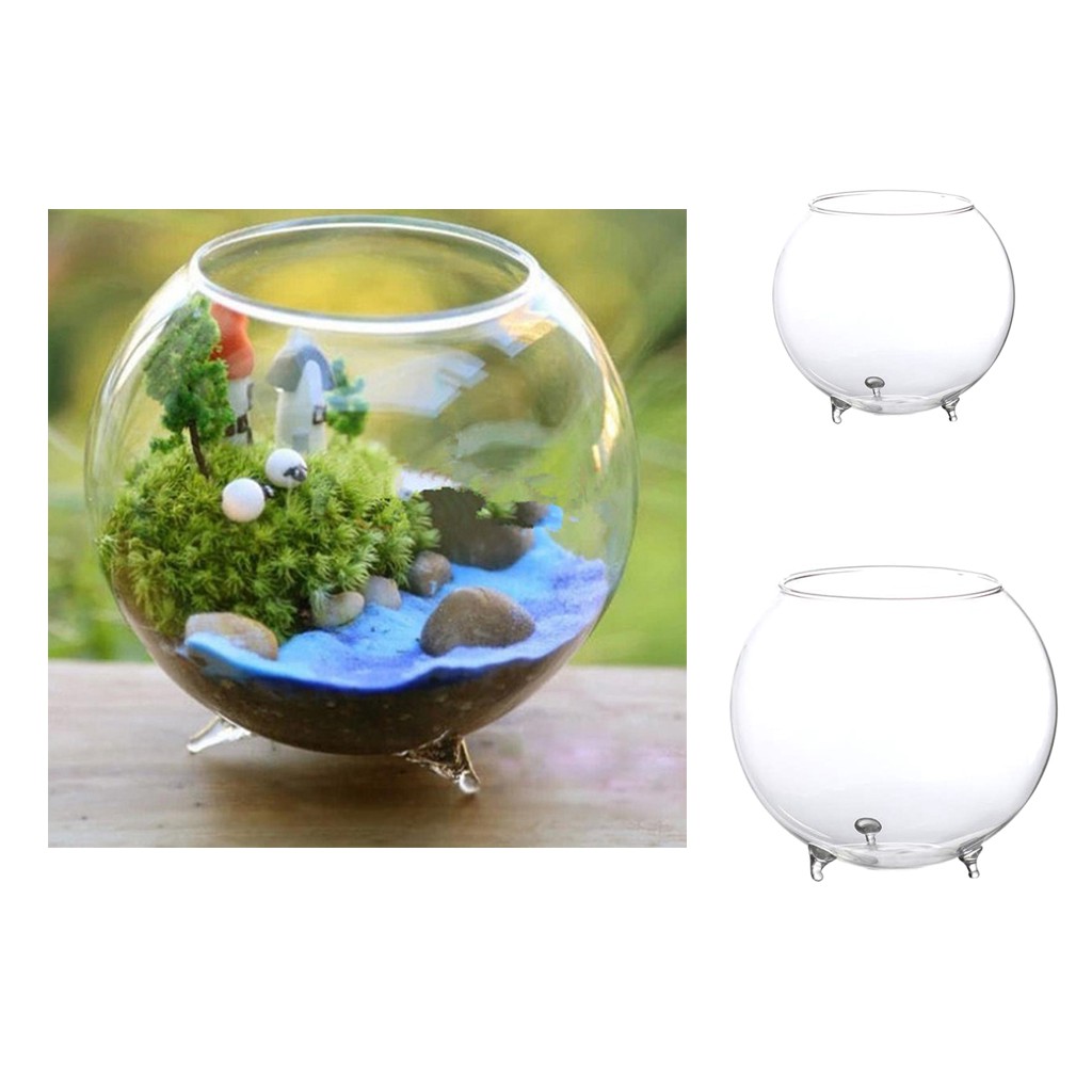 Clear Glass Vase Flower Planter Pot Terrarium Container Mini Fish Tank Bowl 