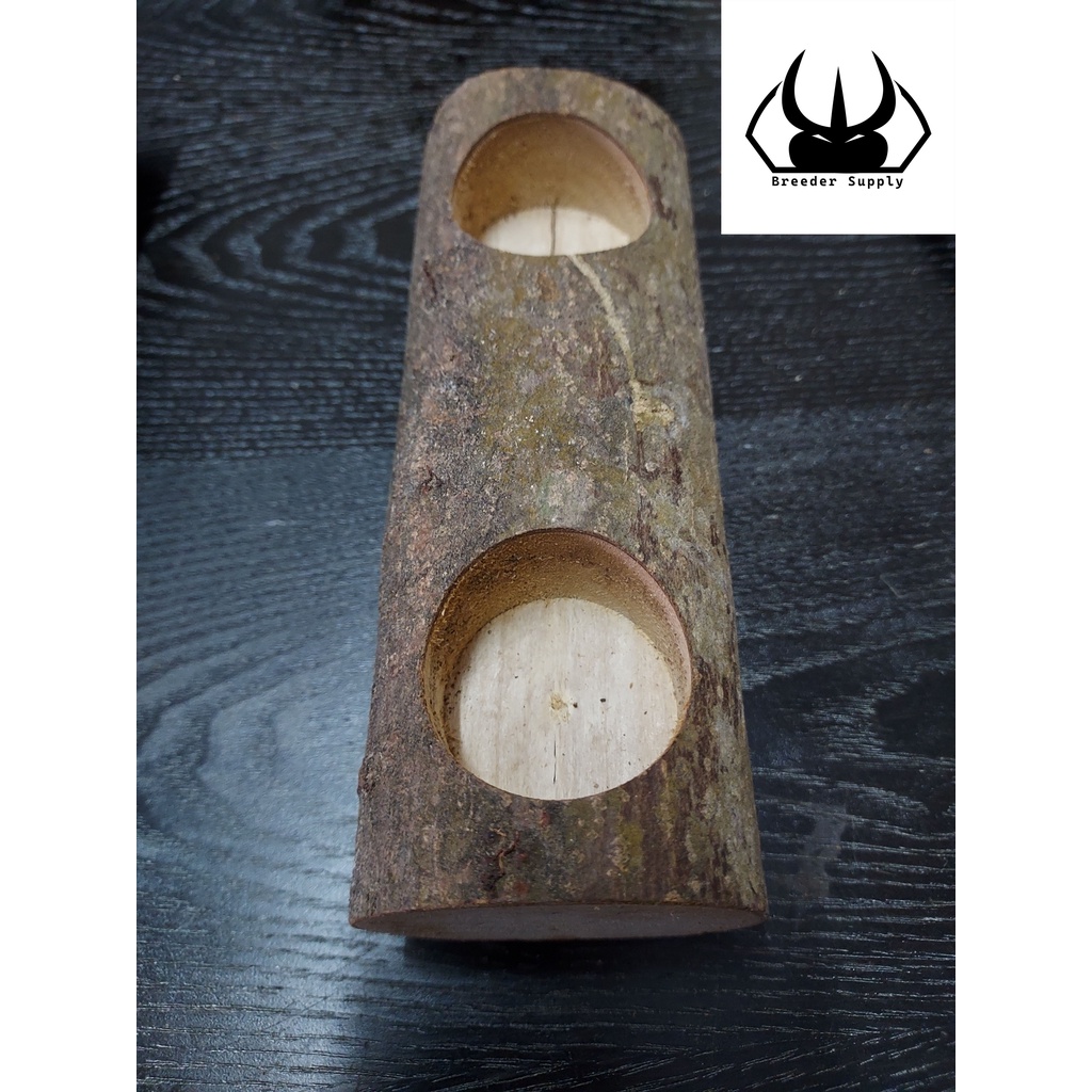 Beetle Jelly Holder Double Hole Wood Insects Jelly Stand 甲虫 果冻台 攀爬木 果冻