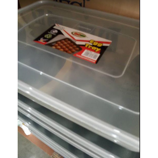 bekas telur bertutup plastik preservation plastic box egg tray storage