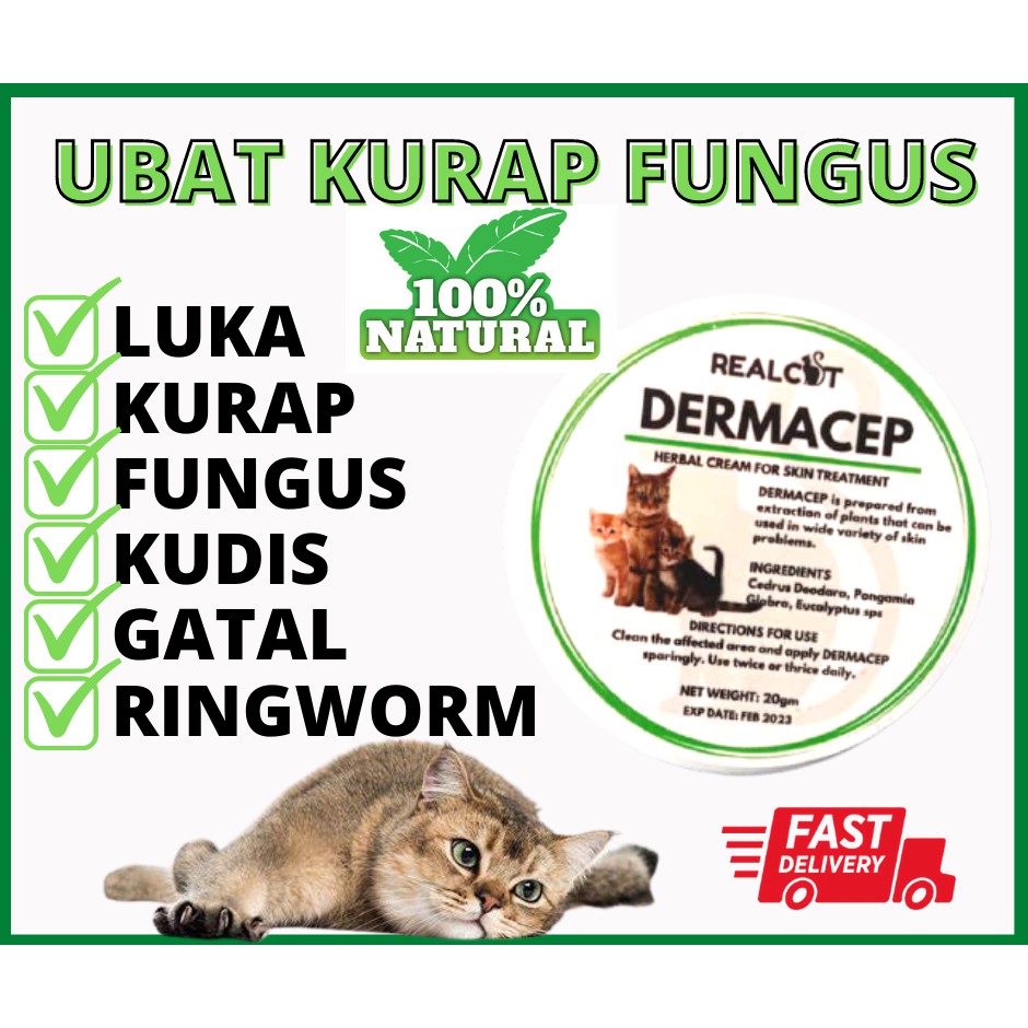 Krim Kurap Fungus Ringworm Kudis Luka Kucing Cat Shopee Malaysia