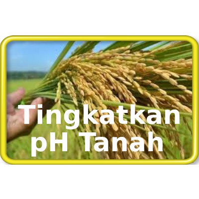 AGRISIL/POTASIUM-SILICATE/ BAJA PADI/TINGKATKAN pH TANAH/TANKAI PANJANG/ PLANT NUTRITION FARMING/GARDENING- 500ML
