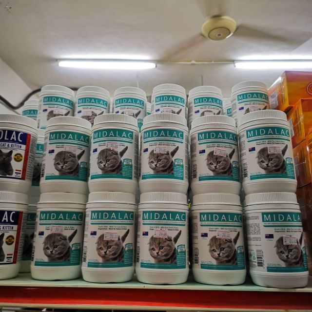 susu kambing untuk kucing