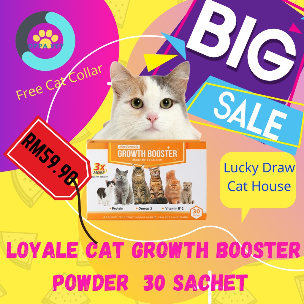 Buy Rm 5 Off Loyale Cat Growth Powder 30 Sachet Vitamin Kucing Mudah Dimakan Untuk Kucing Gebu Dan Gemuk 30 Paket Kecil Seetracker Malaysia